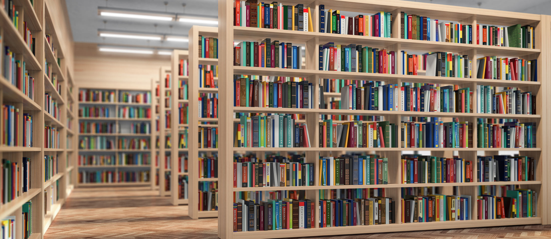 Accessibility Statement